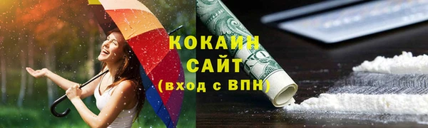 тгк Нея