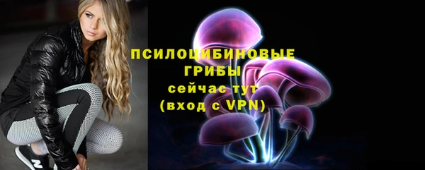 тгк Нея