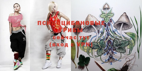 тгк Нея