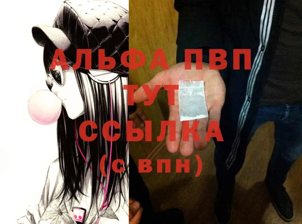 ГАЛЛЮЦИНОГЕННЫЕ ГРИБЫ Козловка