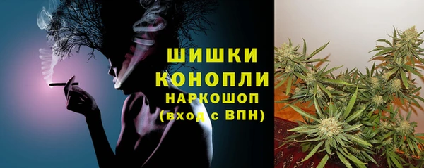 амф Козельск