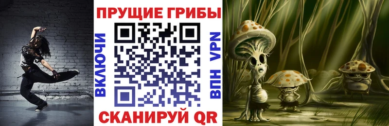 купить Сычёвка Псилоцибиновые грибы GOLDEN TEACHER